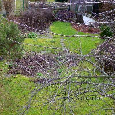 Garten am 26. Dezember 2011