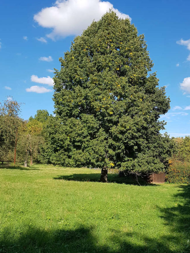 Wetter im Oktober 2020