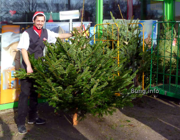 Weihnachtsbaum-Verkäufer bei strahlendem Sonnenschein